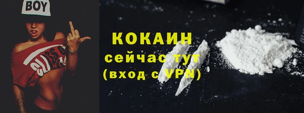 COCAINE Богородицк