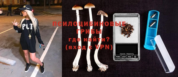 COCAINE Богородицк