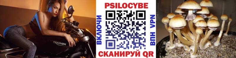 Псилоцибиновые грибы MAGIC MUSHROOMS  Нелидово 