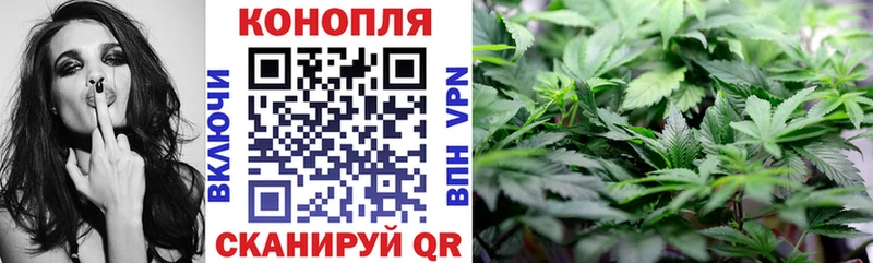 Канабис сатива  как найти закладки  Нелидово 
